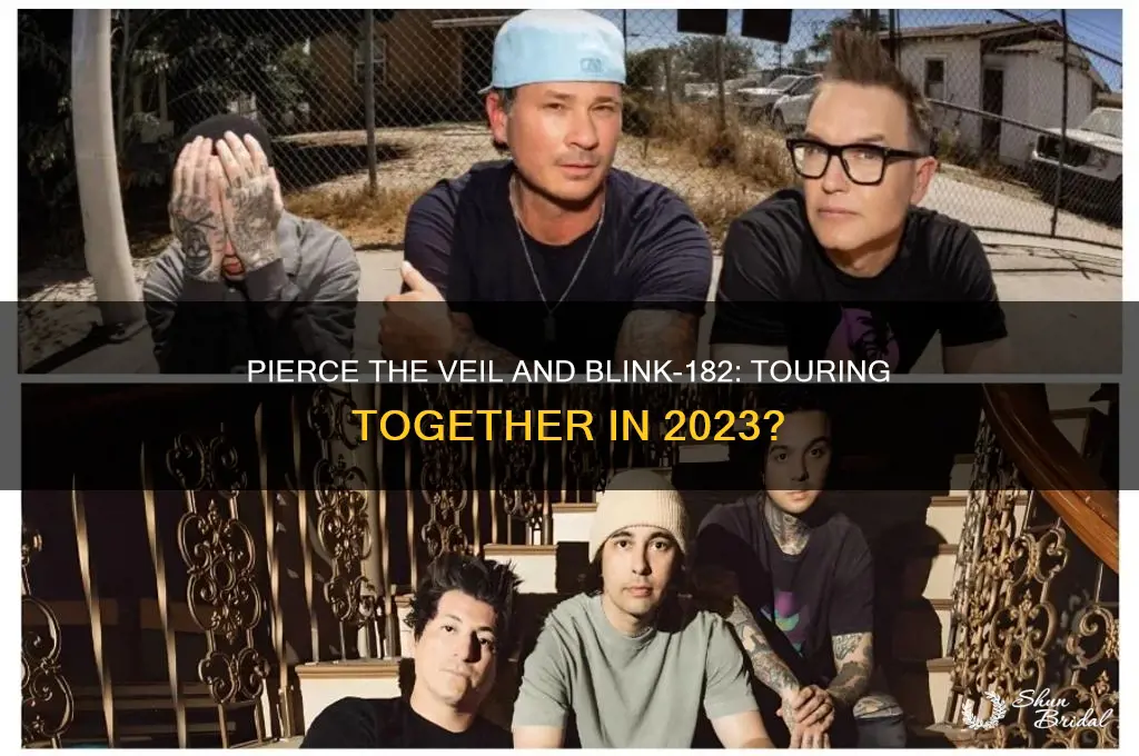 is pierce the veil touring with blink 182