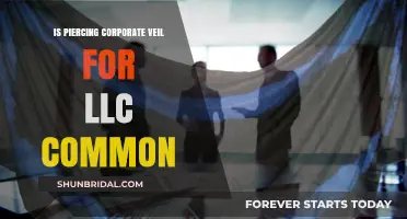 Is Piercing the Corporate Veil Common for LLCs? Exploring the Risks
