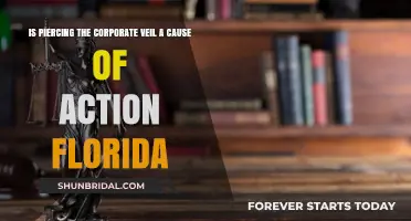 Can Florida Courts Pierce the Corporate Veil as a Legal Claim?