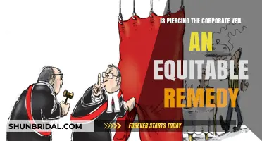 Is Piercing the Corporate Veil an Equitable Remedy? Exploring Legal Principles