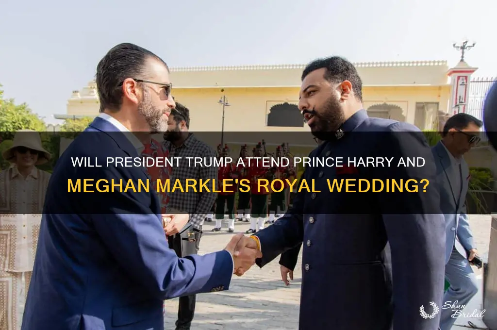 is president trump attending the royal wedding