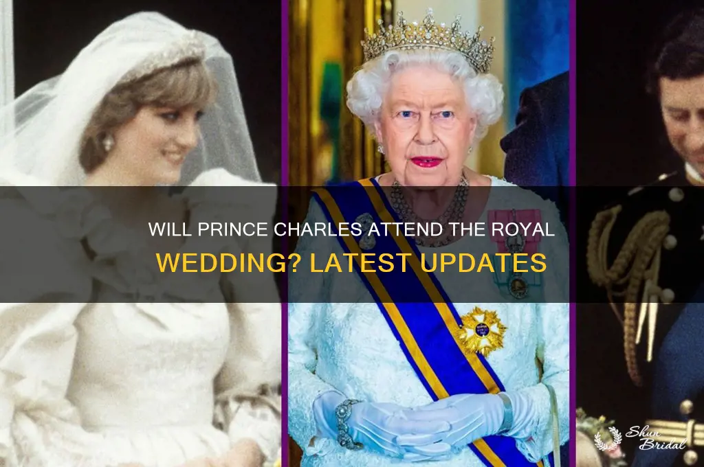 is prince charles attending the royal wedding