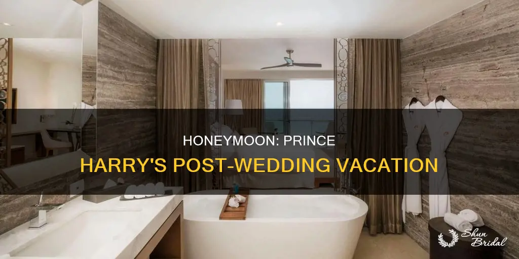 is prince harry on his honeymoon