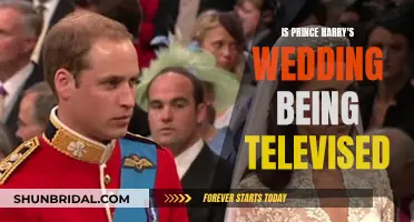 Harry and Meghan: A Televised Wedding