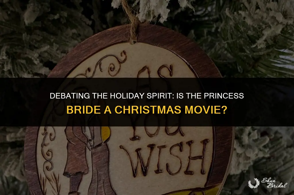 is princess bride a christmas movie