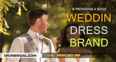 Pronovias Wedding Dresses: Are They Worth the Hype?