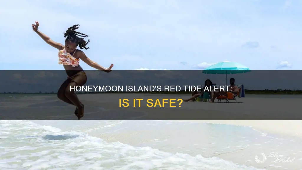 is red tide at honeymoon island