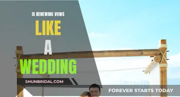 Renewing Vows: A Wedding Replay or Something Different?