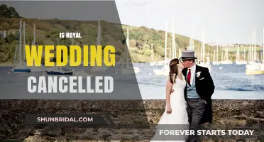 Royal Wedding Crisis: Is the Ceremony Officially Cancelled?