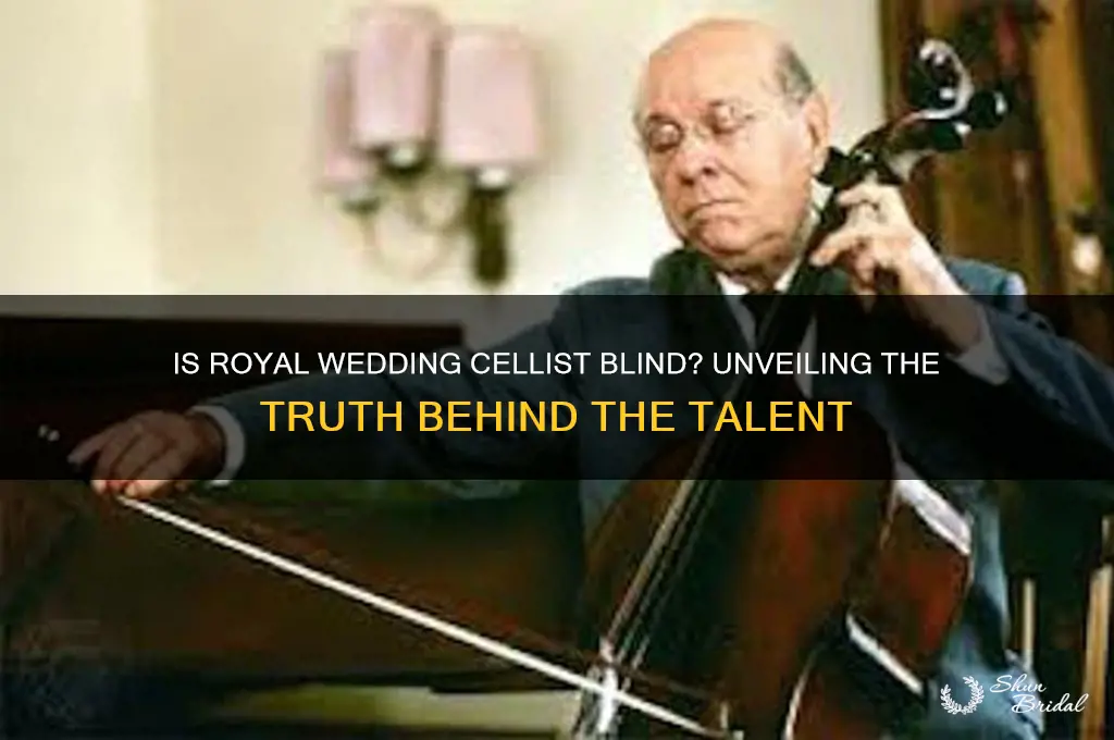 is royal wedding cellist blind