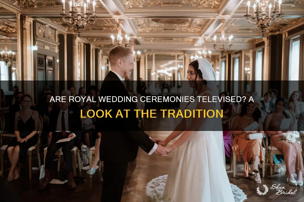 is royal wedding ceremony televised
