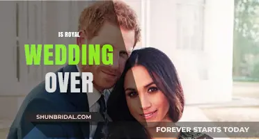 Is the Royal Wedding Over? Post-Celebration Reflections and Insights