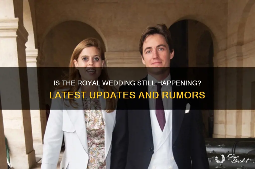 is royal wedding still on