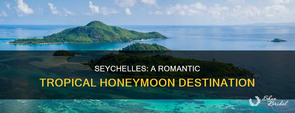 is seychelles a good honeymoon destination