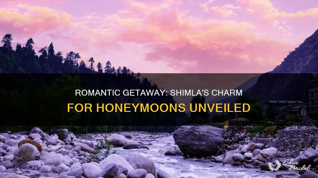 is shimla good for honeymoon