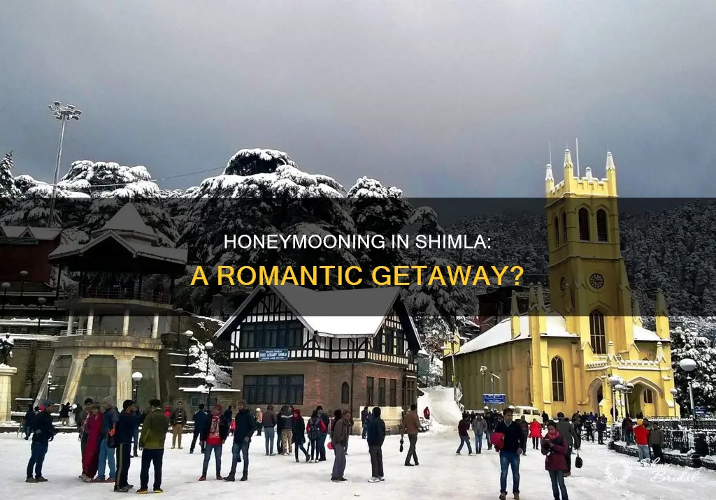 is shimla good for honeymoon