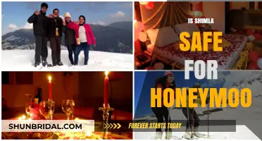 Is Shimla a Safe and Romantic Honeymoon Destination? Find Out Here