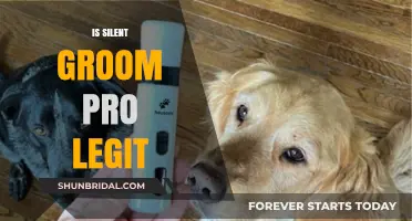 Unveiling the Truth: Is Silent Groom Pro Legitimate?