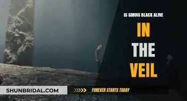 Is Sirius Black Alive Beyond the Veil? Exploring the Truth