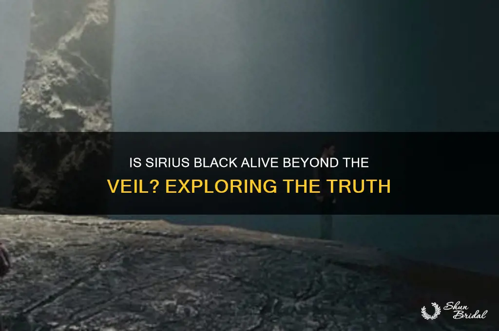 is siruis black alive in the veil