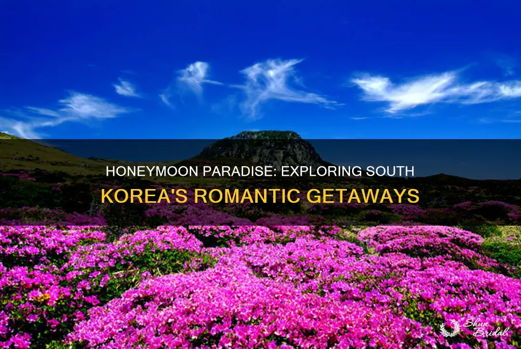 is south korea good for honeymoon