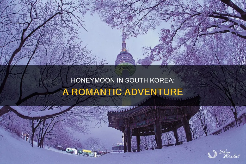 is south korea good for honeymoon