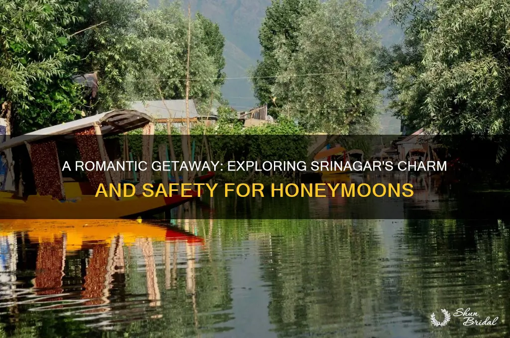 is srinagar safe for honeymoon