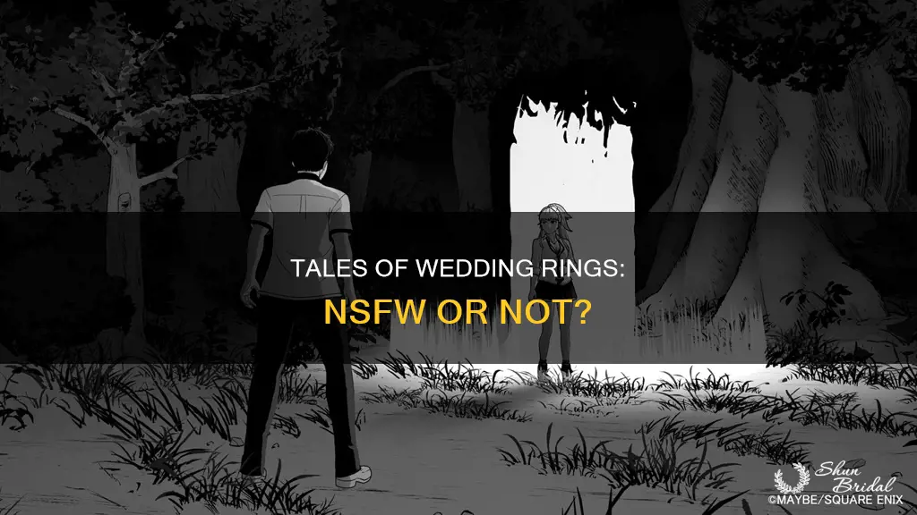 is tales of wedding rings nsfw