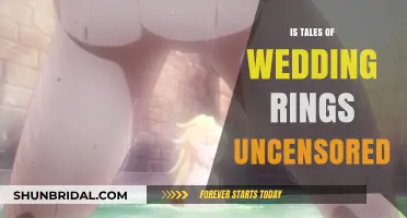 Is 'Tales of Wedding Rings' Too Racy for TV?
