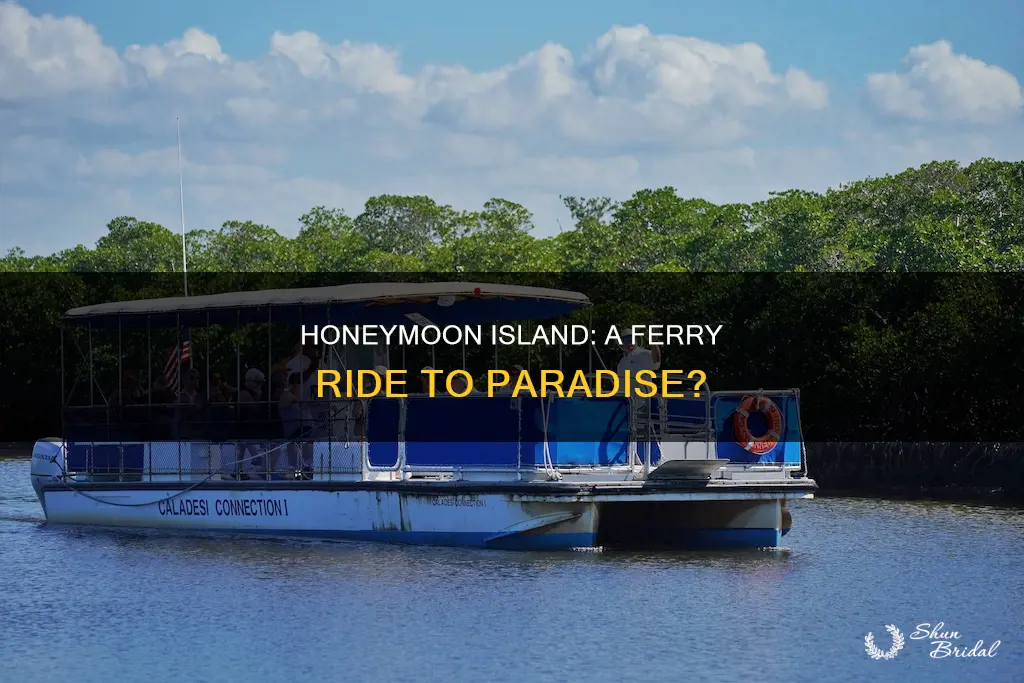 is the a ferry I honeymoon island