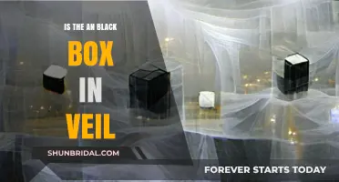 Unveiling the Mystery: Is There a Black Box in the Veil?