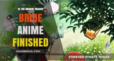 Exploring the Conclusion of 'The Ancient Magus' Bride' Anime Series