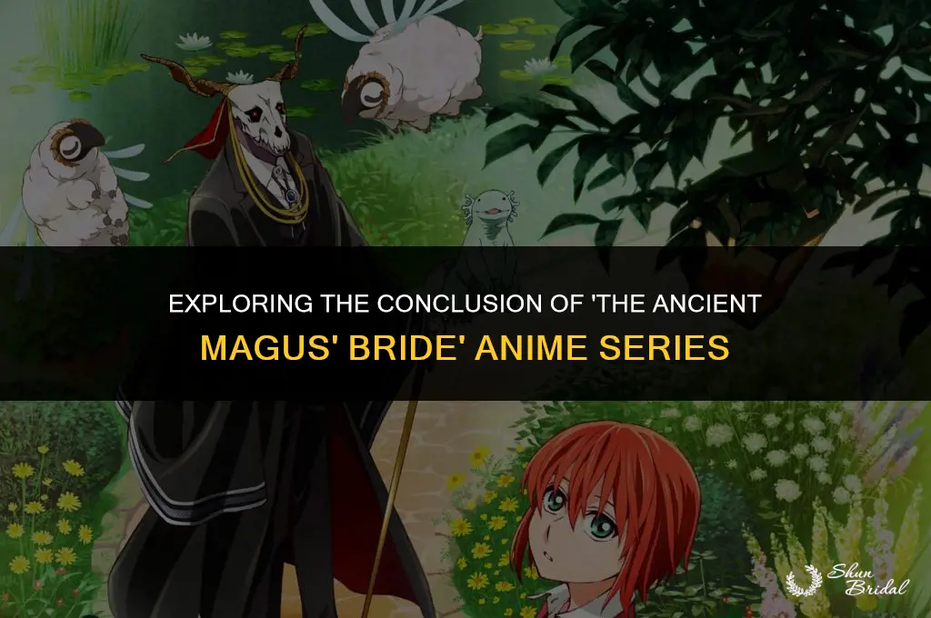 is the ancient magus bride anime finished