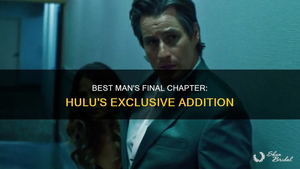 is the best man final chapter on hulu