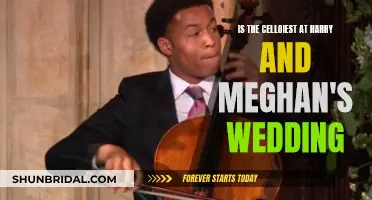 Cello Solo: Harry and Meghan's Wedding