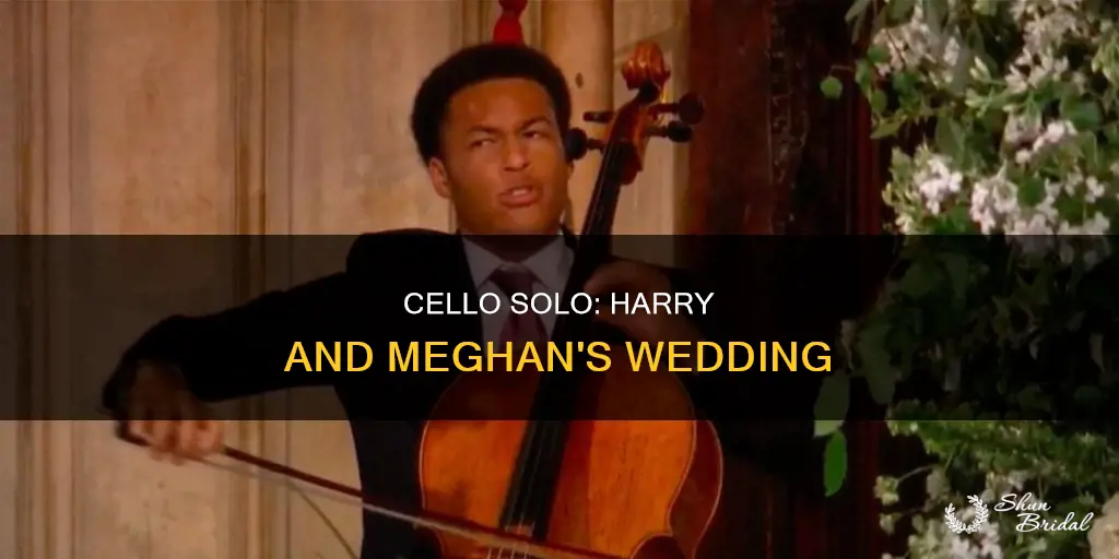 is the celloiest at harry and meghan