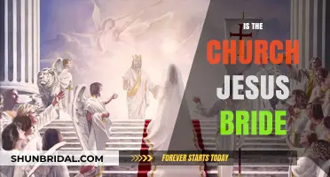 Exploring the Biblical Metaphor: Is the Church Truly Jesus' Bride?