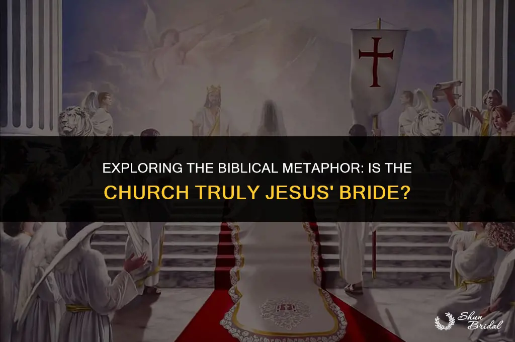 is the church jesus bride