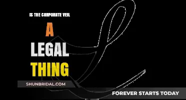 Is the Corporate Veil a Legal Shield or Myth?