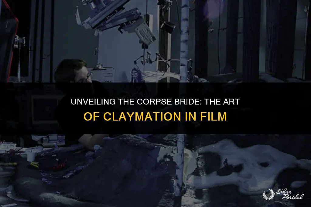 is the corpse bride claymation