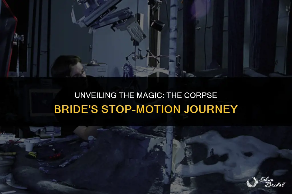 is the corpse bride stop motion