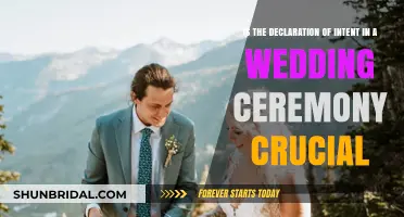 Is the Declaration of Intent in a Wedding Ceremony Crucial?