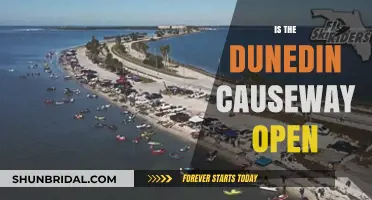 Is the Dunedin Causeway Open? Current Status and Updates