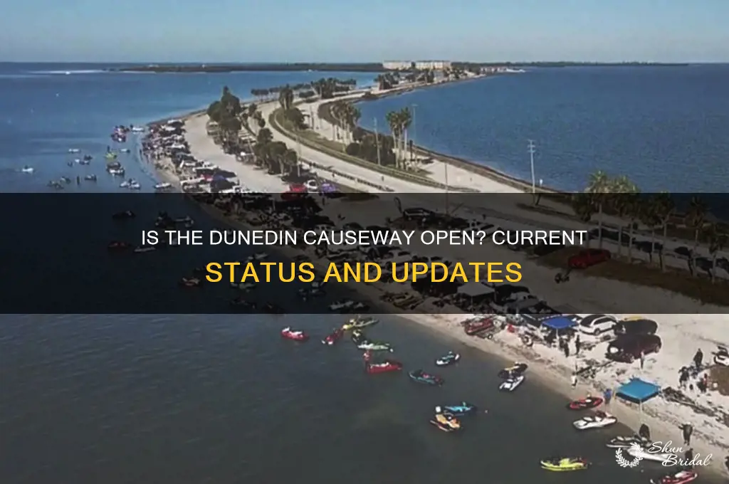 is the dunedin causeway open