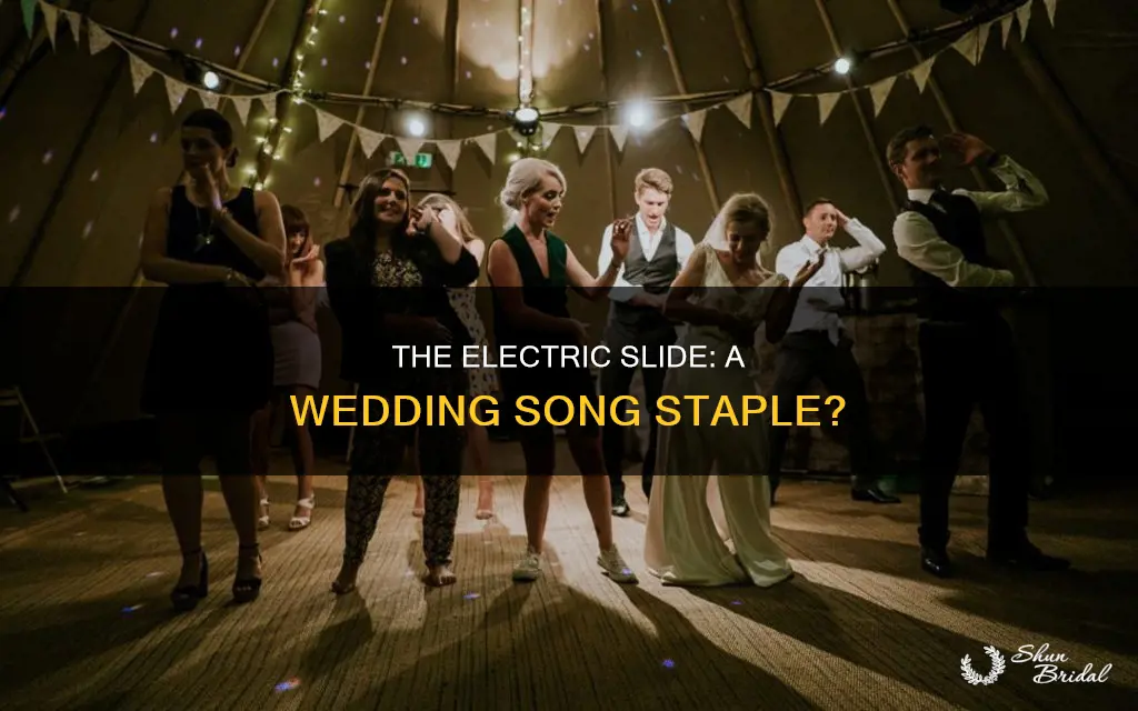 is the electric slide a wedding song