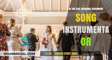 Exit Wedding Ceremony Song: Instrumental or Vocal? Decoding the Trend