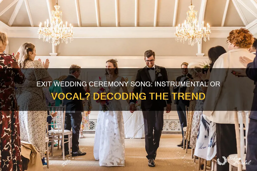 is the exit wedding ceremony song instrumental or