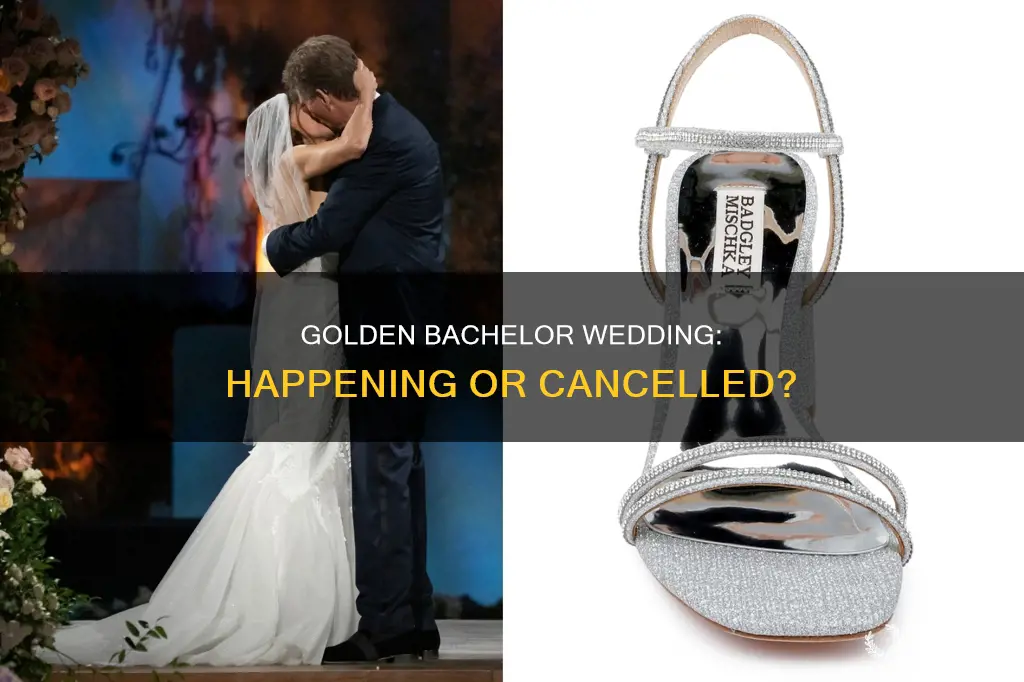 is the golden bachelor wedding still on