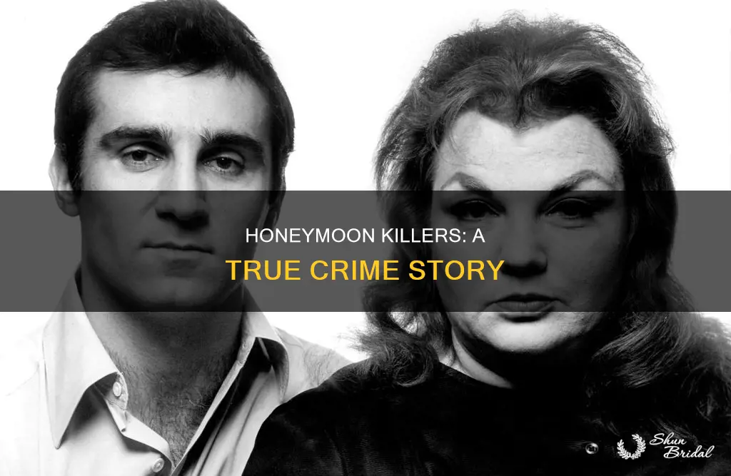 is the honeymoon killers a true story