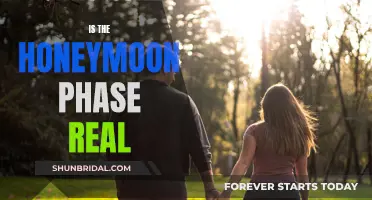 The Science Behind Honeymoon Phase Relationships